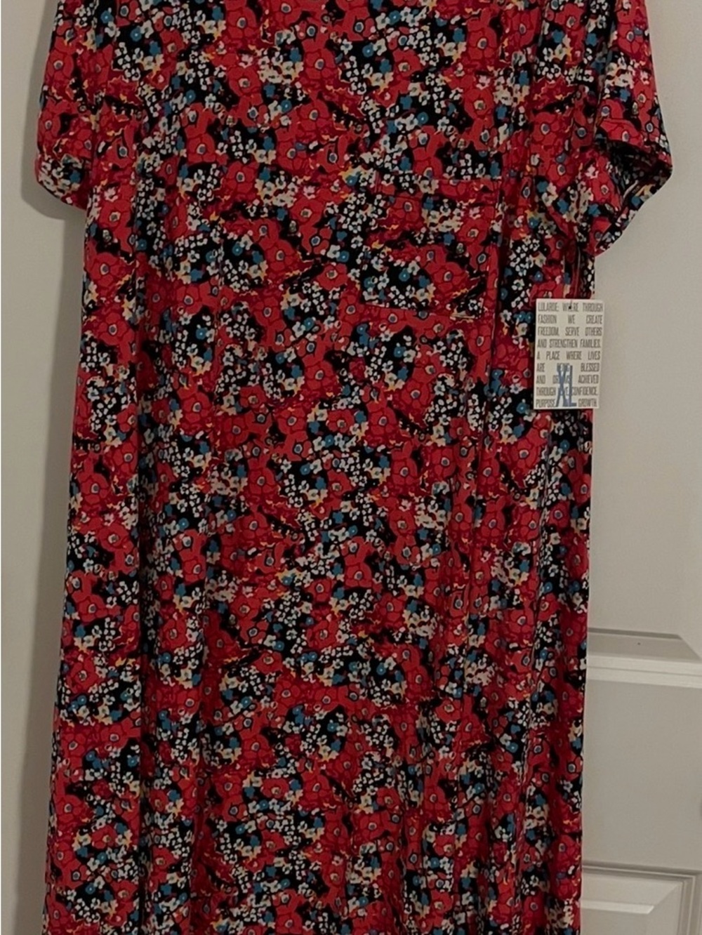 LuLaRoe Carly Red Floral High-Low Dress